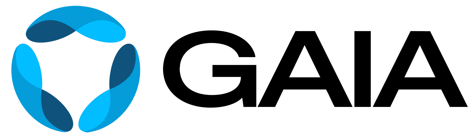 GAIA Wordmark in black