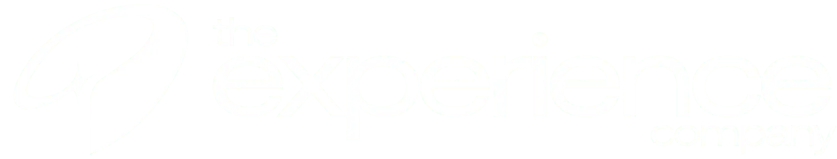The Experience Company Logo