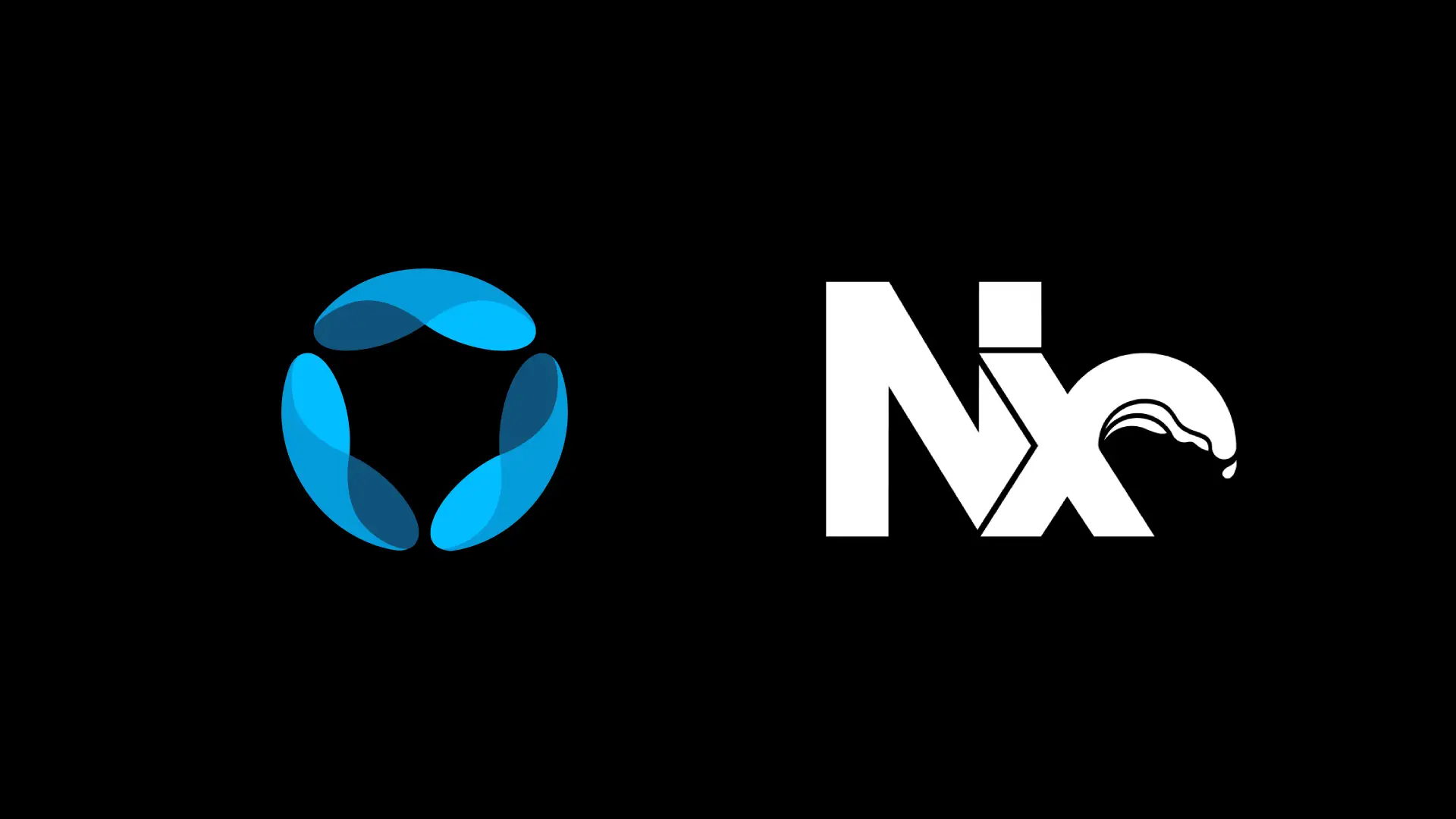 How We Migrated to a Monorepo using NX