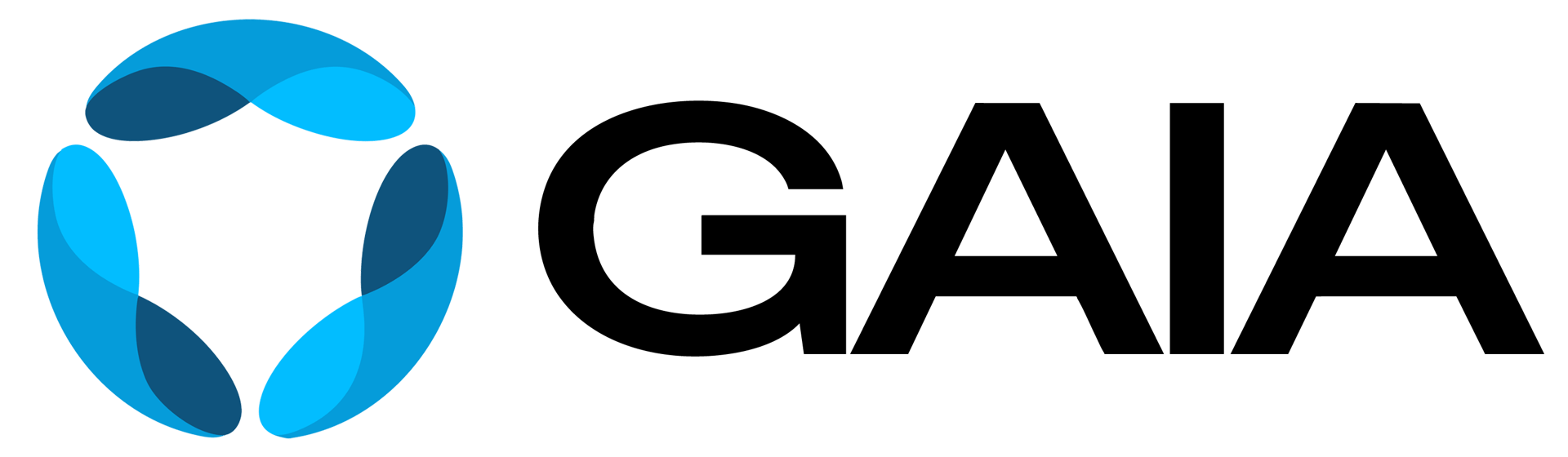 GAIA Wordmark in black
