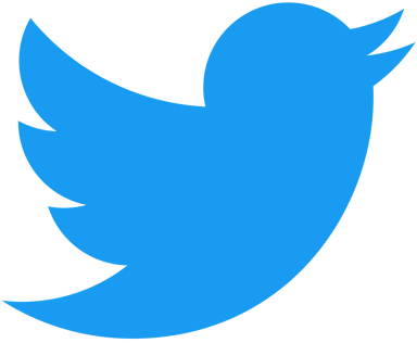 twitter Icon